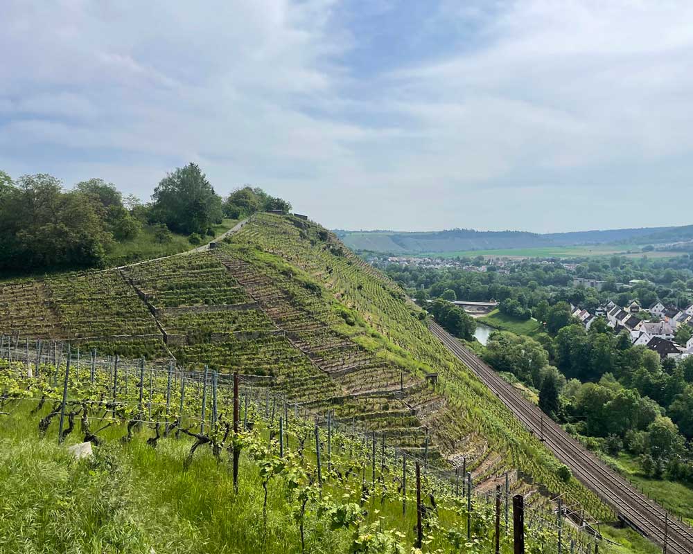 Weingut Dautel Niedernberg