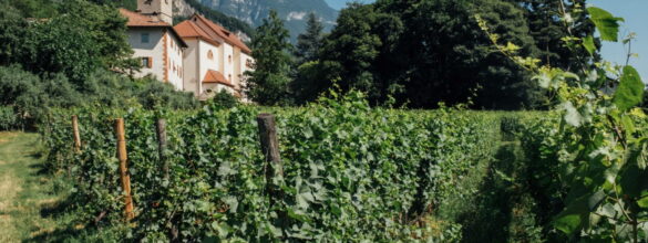 Weingut Lageder – Tradition und Fortschritt