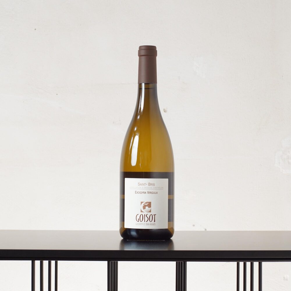 Exogyra Virgula Saint-Bris Sauvignon 2023 - Domaine G. et J.-H. Goisot - 0,75