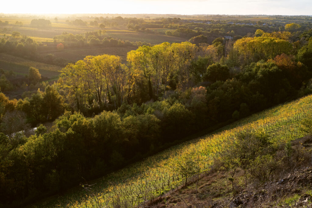 Treilles et Layon (crédit photo Estelle Offroy)